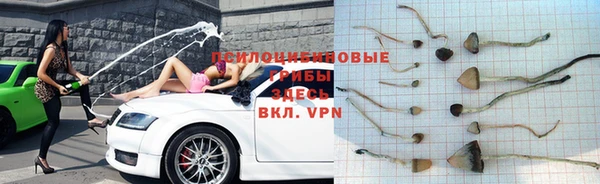 стаф Навашино