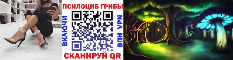 наркота  Североуральск  Галлюциногенные грибы MAGIC MUSHROOMS 