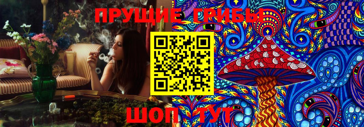 Галлюциногенные грибы GOLDEN TEACHER  Североуральск  Псилоцибиновые грибы Cubensis 